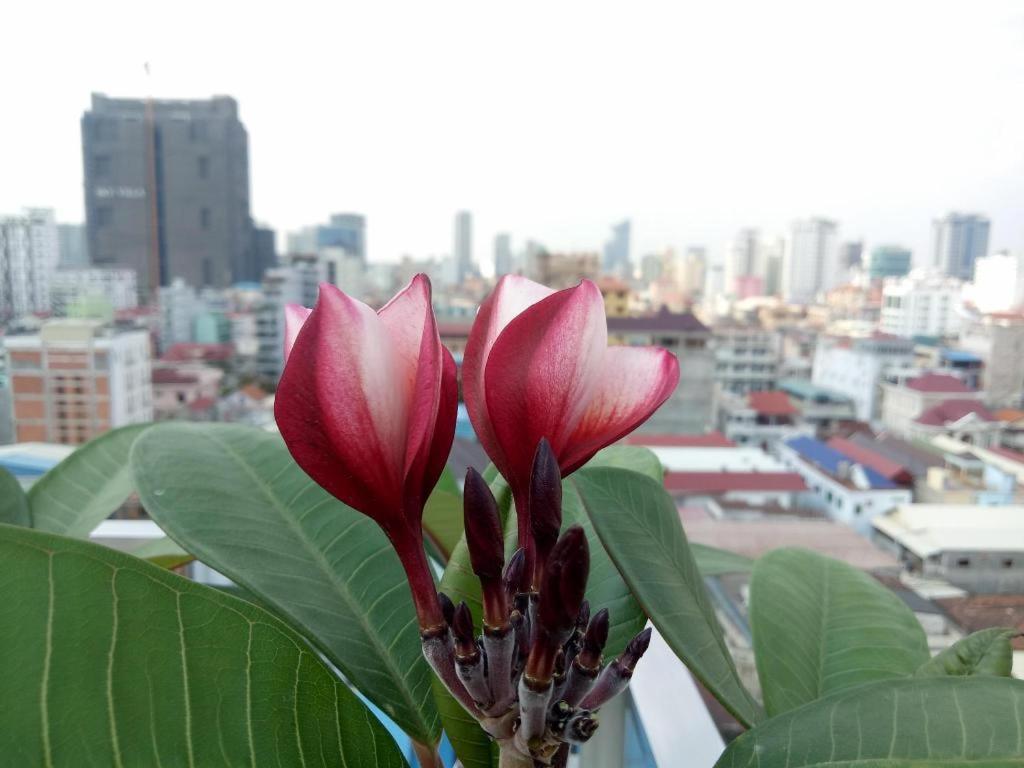 V Boutique Hotel Phnom Penh Exteriör bild